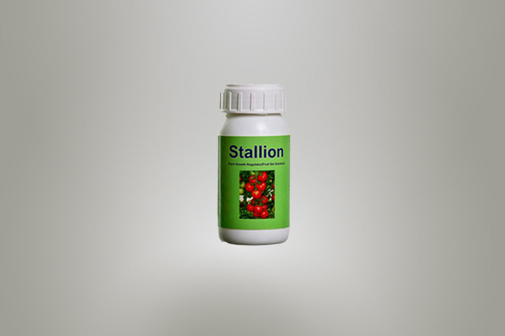 stallion-ar